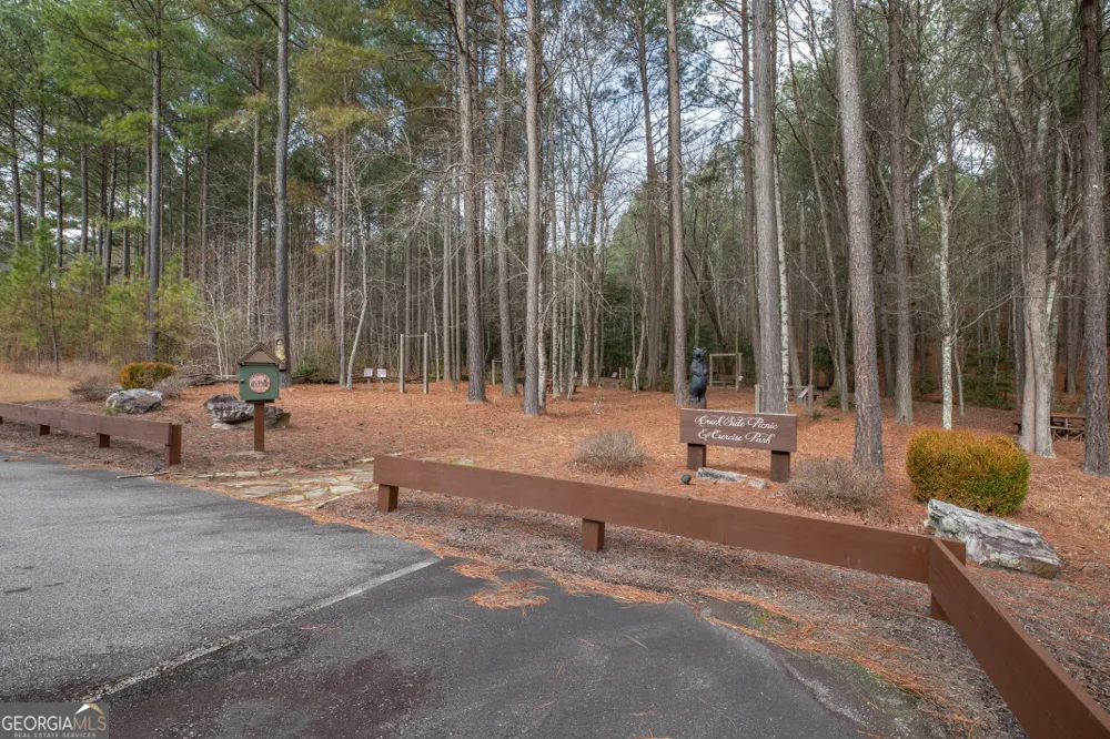 LOT 253 The Cove @ 1300 Blairsville, GA 30512