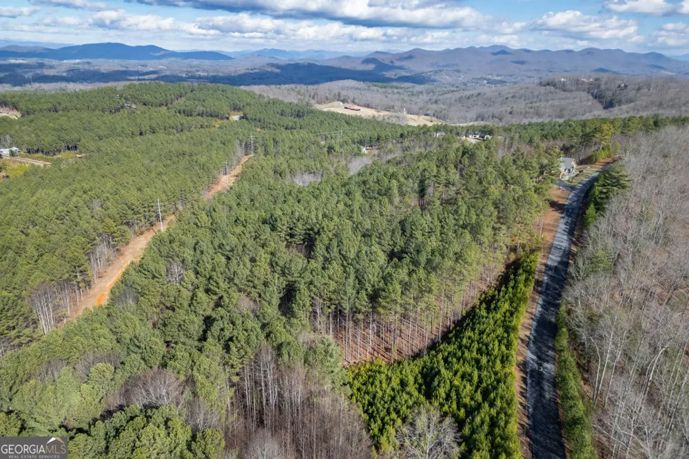 LOT 253 The Cove @ 1300 Blairsville, GA 30512