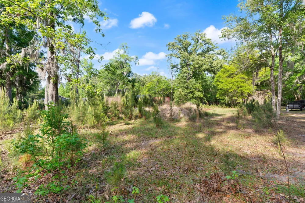 1054 Peaceful Valley DR NE Townsend, GA 31331