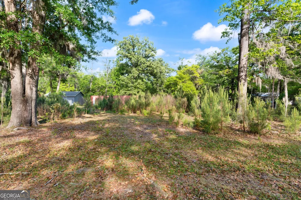 1054 Peaceful Valley DR NE Townsend, GA 31331