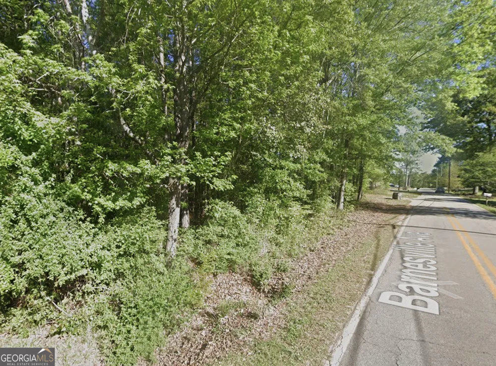 178 Barnesville AVE Barnesville, GA 30204
