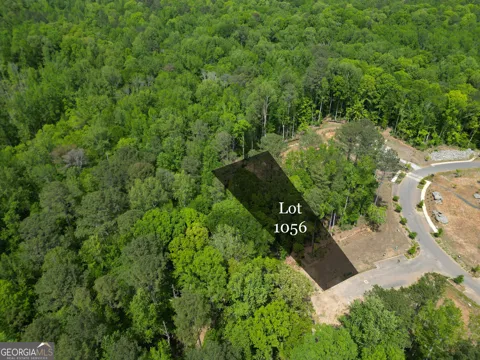 1011 Epple LN