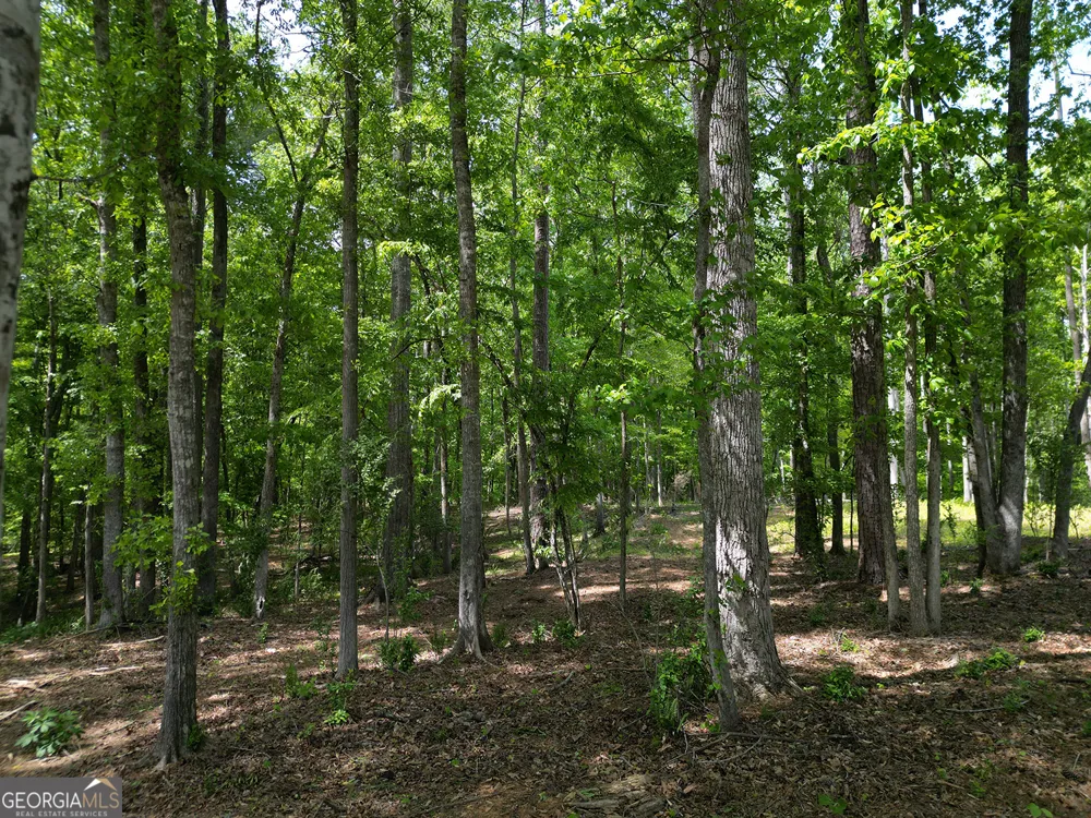1011 Epple LN Chattahoochee Hills, GA 30268