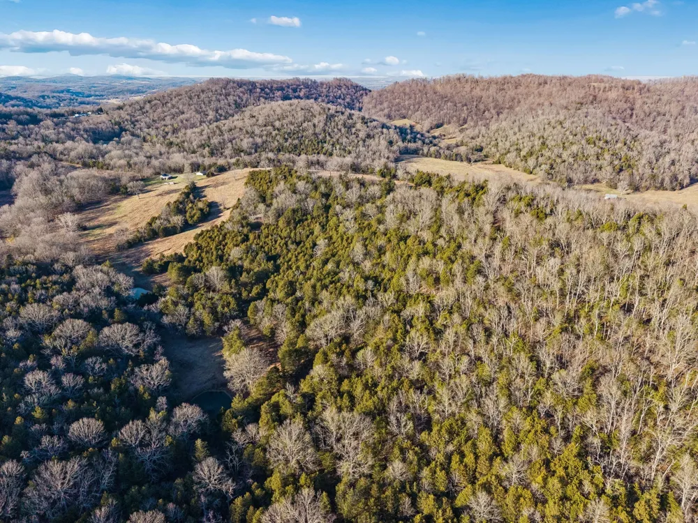 2370 Patton Hollow Rd Watertown, TN 37184