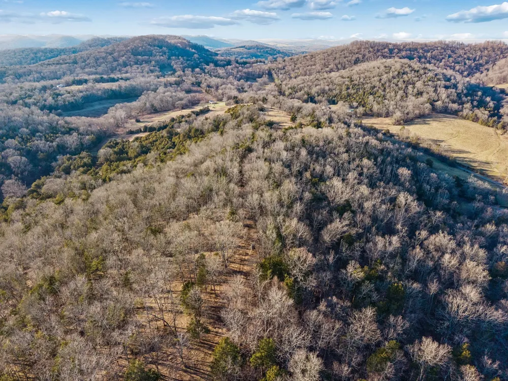 2370 Patton Hollow Rd Watertown, TN 37184