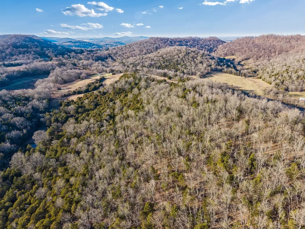 2370 Patton Hollow Rd Watertown, TN 37184