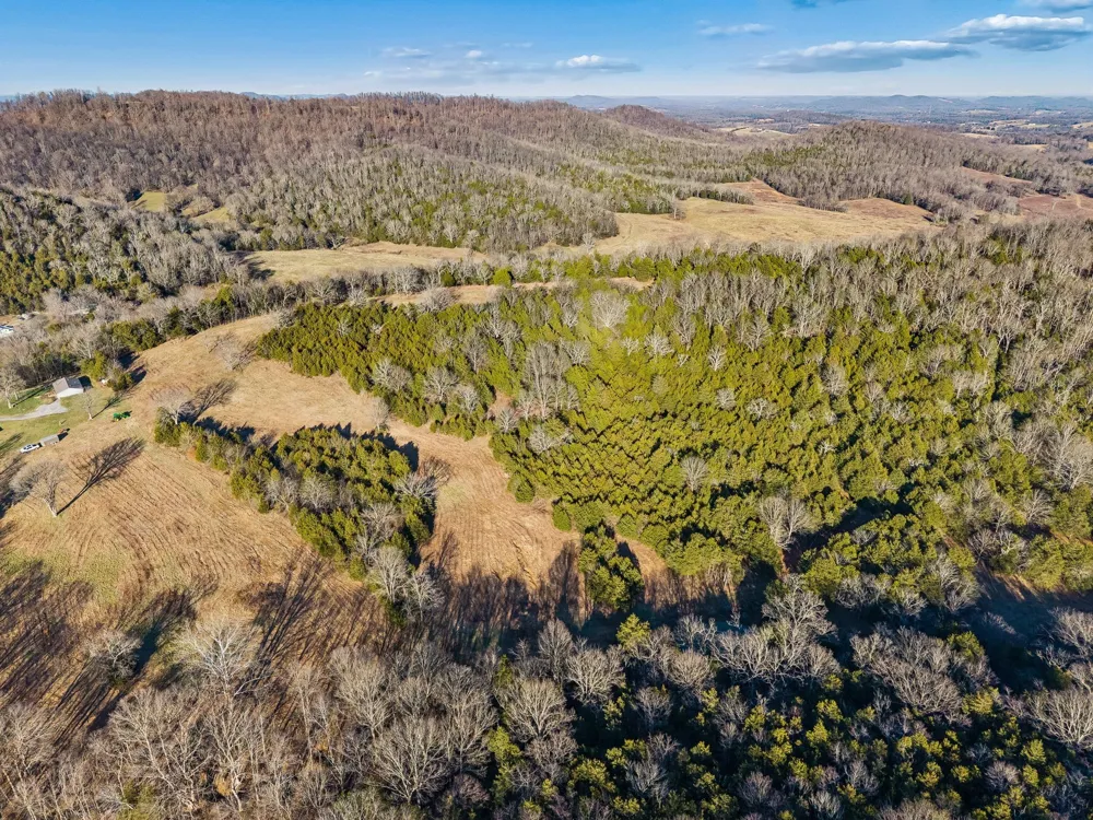 2370 Patton Hollow Rd Watertown, TN 37184