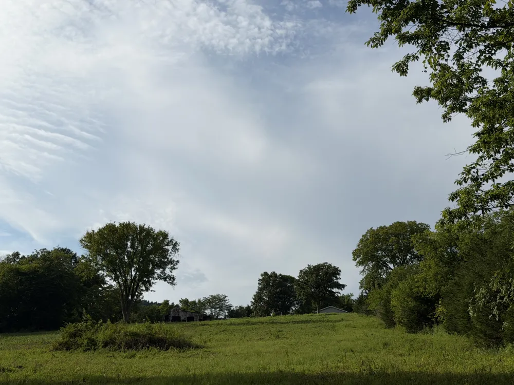 2370 Patton Hollow Rd Watertown, TN 37184
