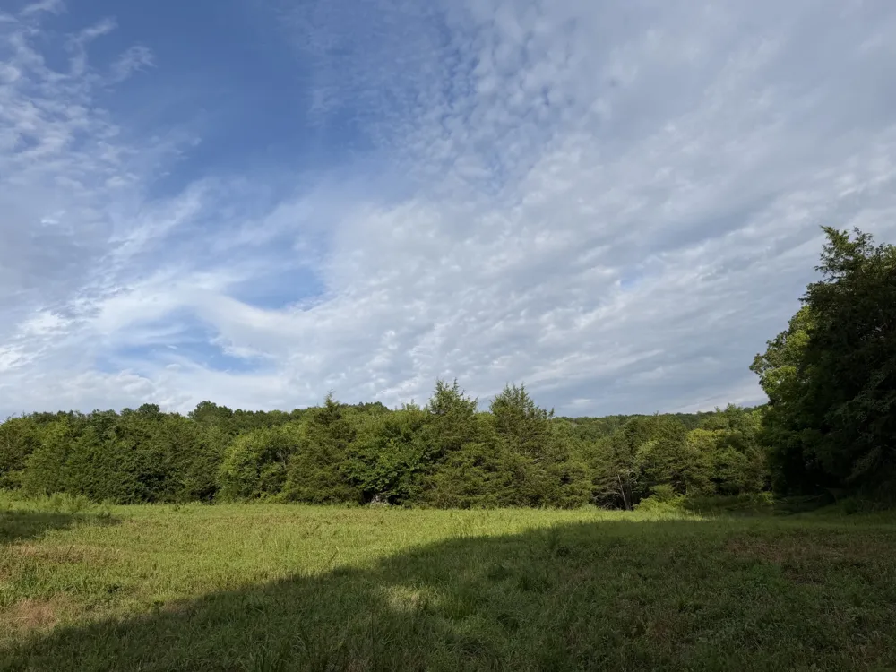 2370 Patton Hollow Rd Watertown, TN 37184