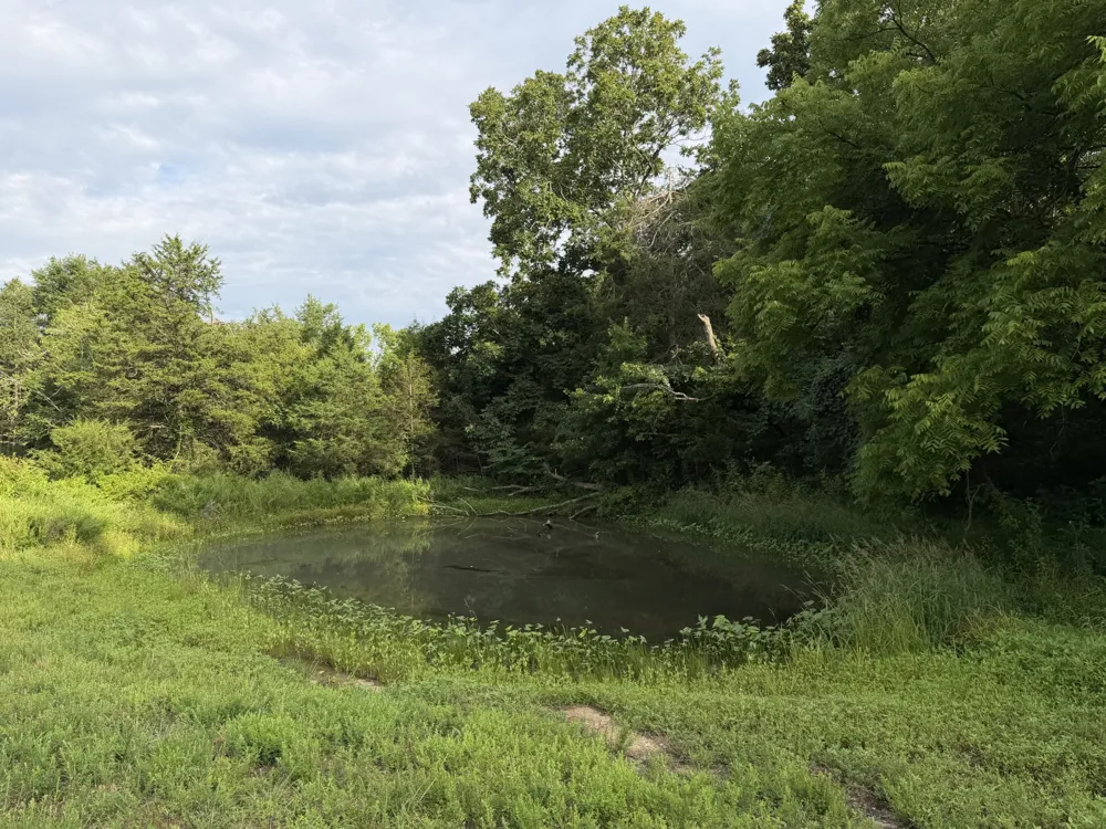 2370 Patton Hollow Rd Watertown, TN 37184