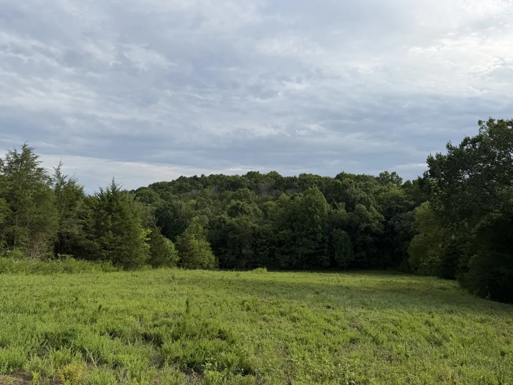 2370 Patton Hollow Rd Watertown, TN 37184