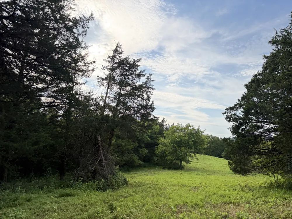 2370 Patton Hollow Rd Watertown, TN 37184