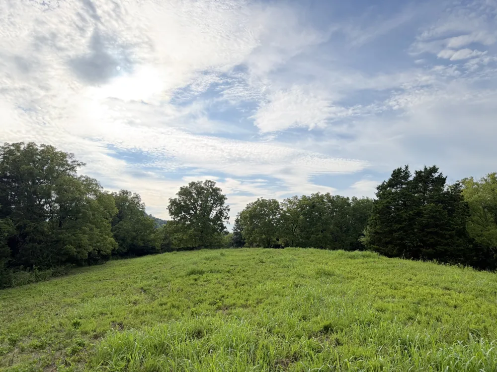 2370 Patton Hollow Rd Watertown, TN 37184