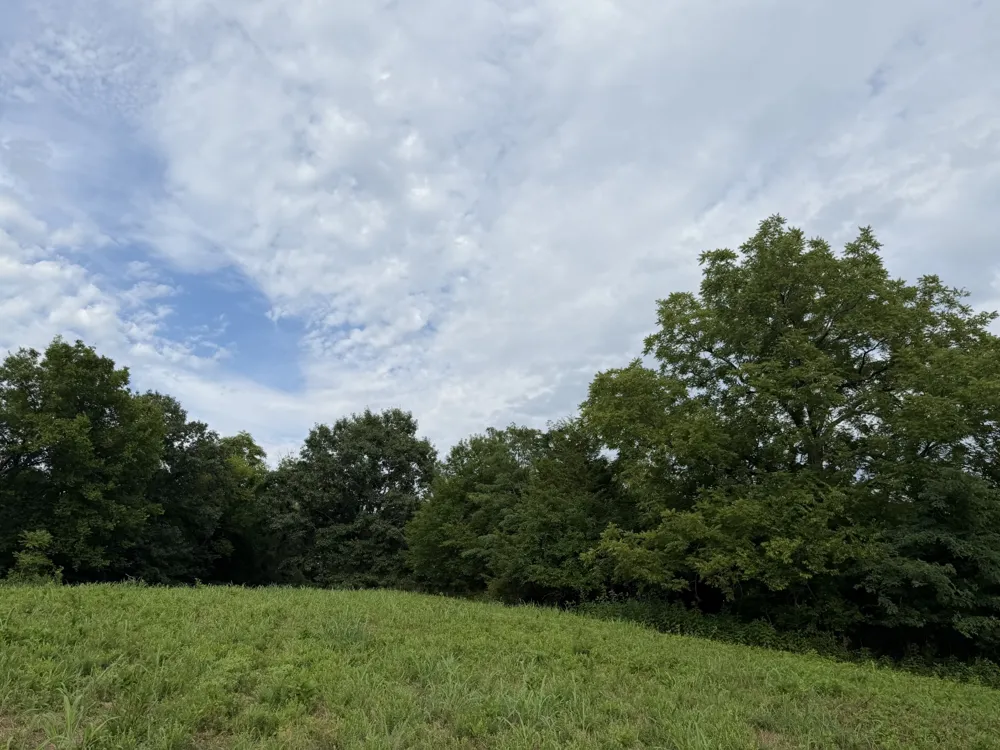 2370 Patton Hollow Rd Watertown, TN 37184