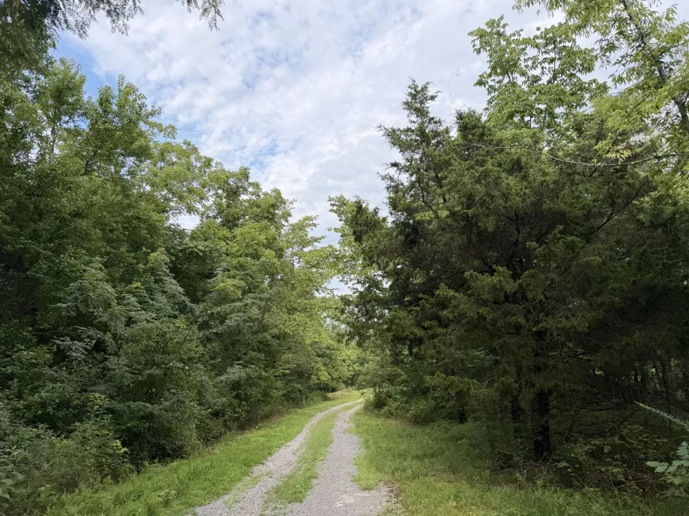 2370 Patton Hollow Rd Watertown, TN 37184