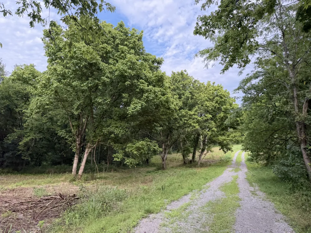 2370 Patton Hollow Rd Watertown, TN 37184