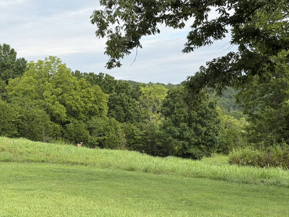 2370 Patton Hollow Rd Watertown, TN 37184