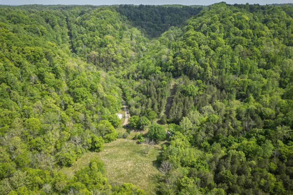 700 Ben Birdwell Ln Bloomington Springs, TN 38545