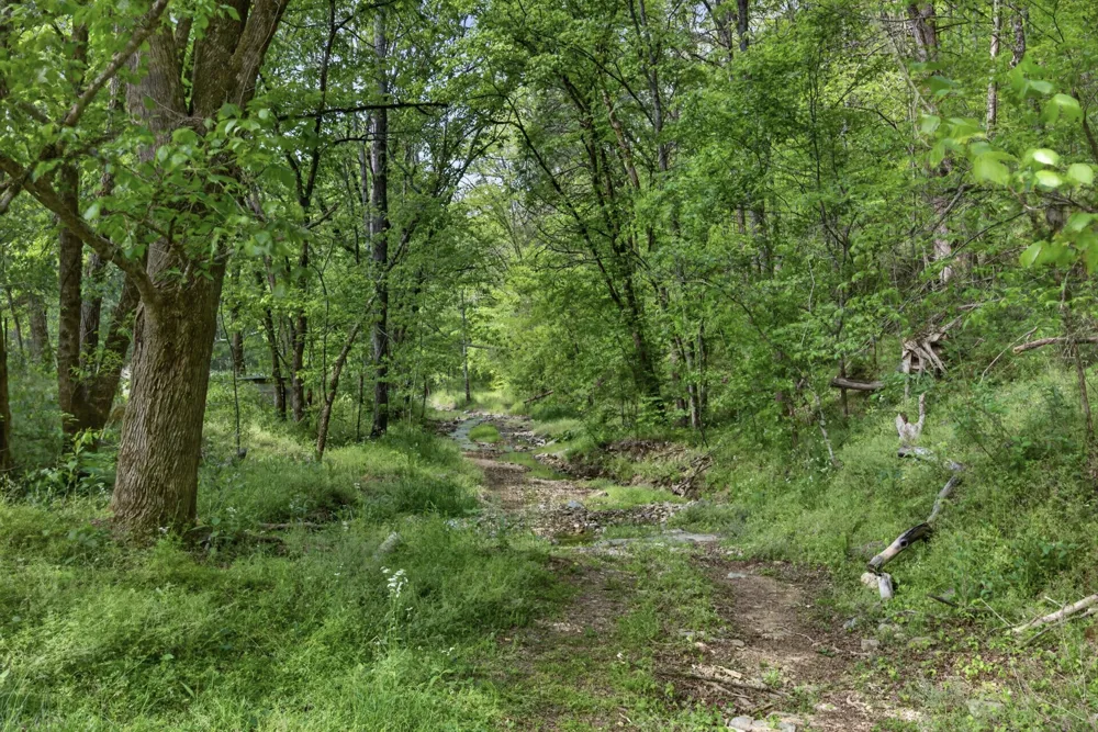 700 Ben Birdwell Ln Bloomington Springs, TN 38545