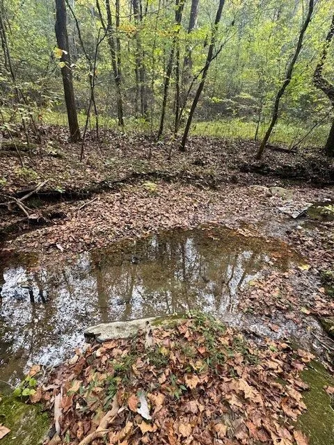 700 Ben Birdwell Ln Bloomington Springs, TN 38545