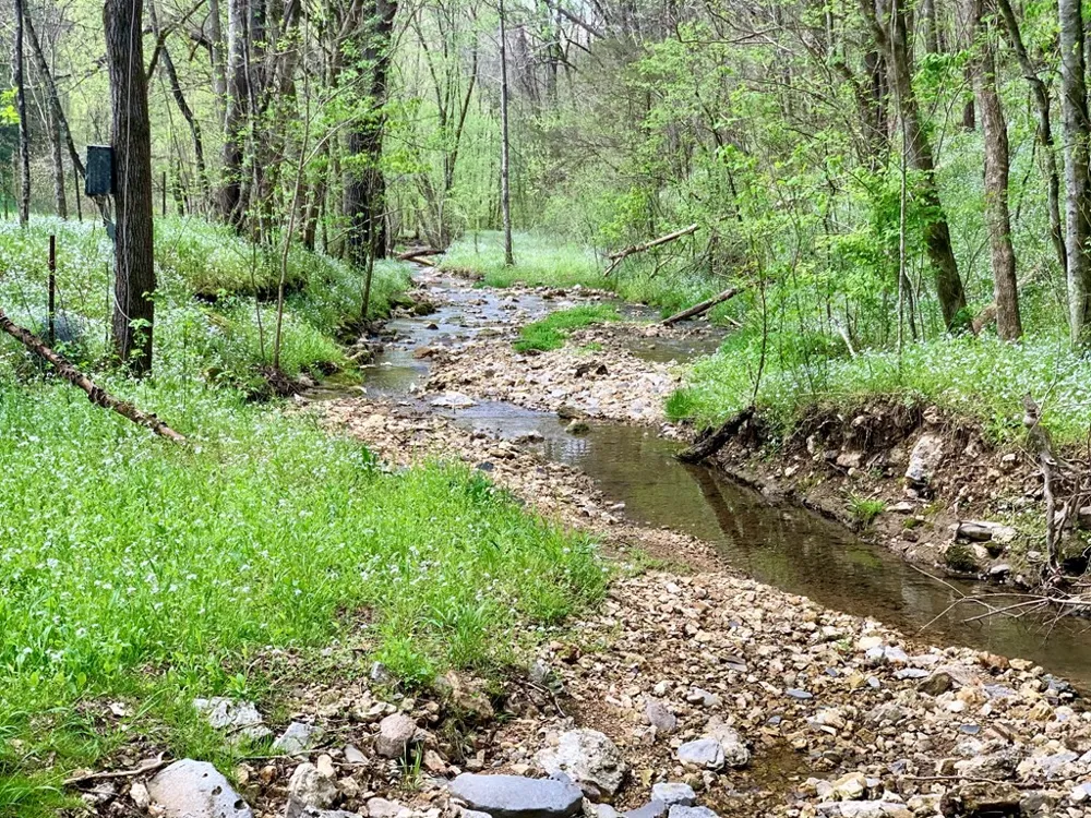 700 Ben Birdwell Ln Bloomington Springs, TN 38545