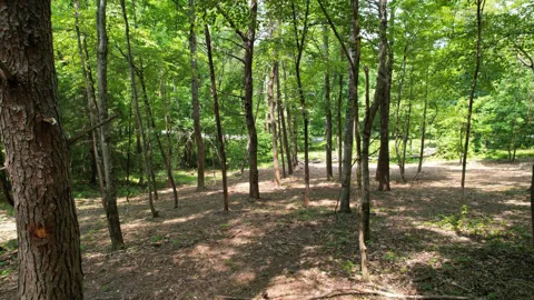 0 Cypress Drive