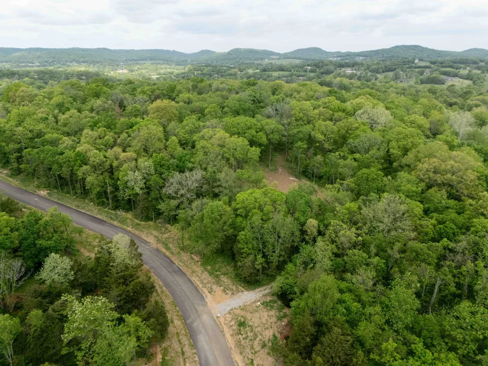 8105 Fox Wander Trail Arrington, TN 37014