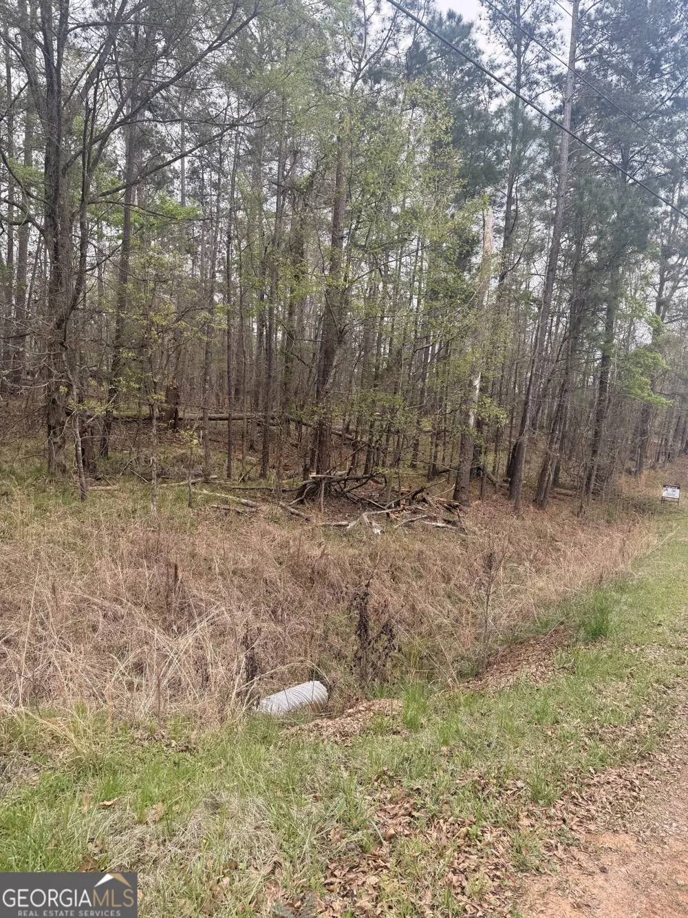 0 Rosedud CT Sparta, GA 31087