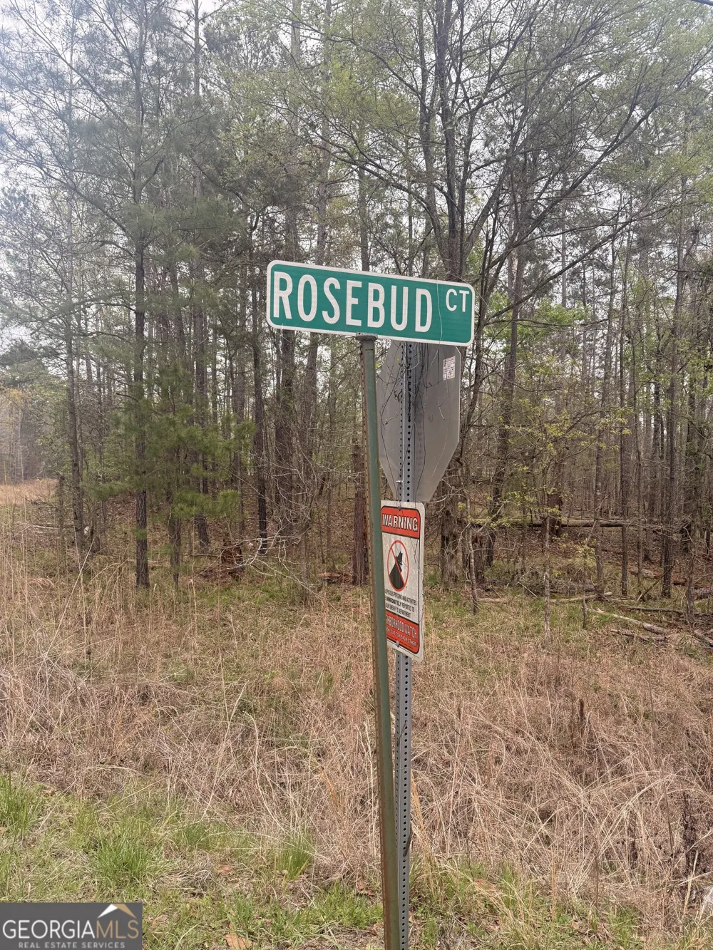 0 Rosedud CT Sparta, GA 31087