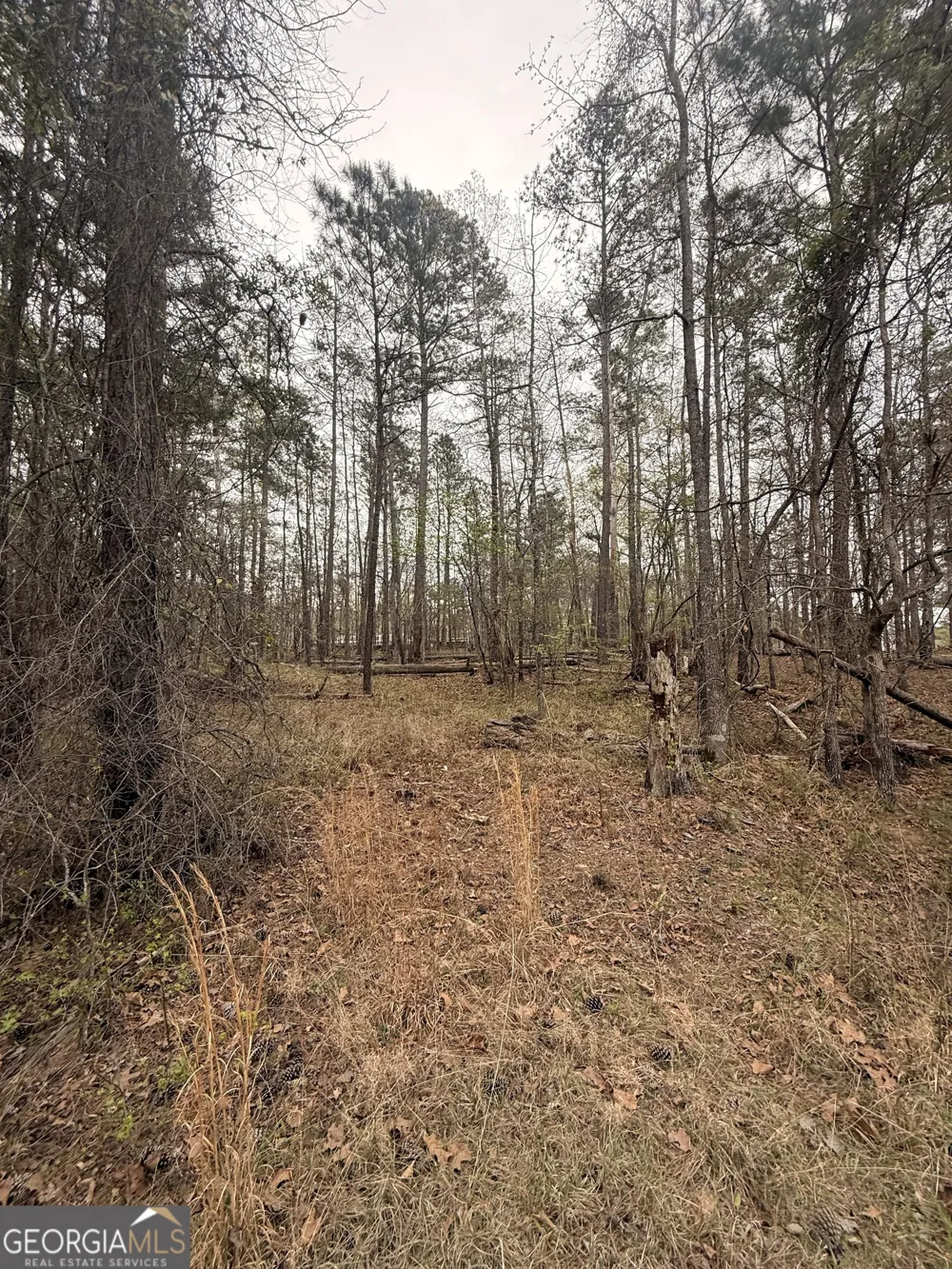 0 Rosedud CT Sparta, GA 31087
