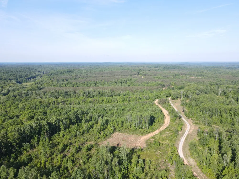 303 Hurricane Creek Stewart, TN 37175