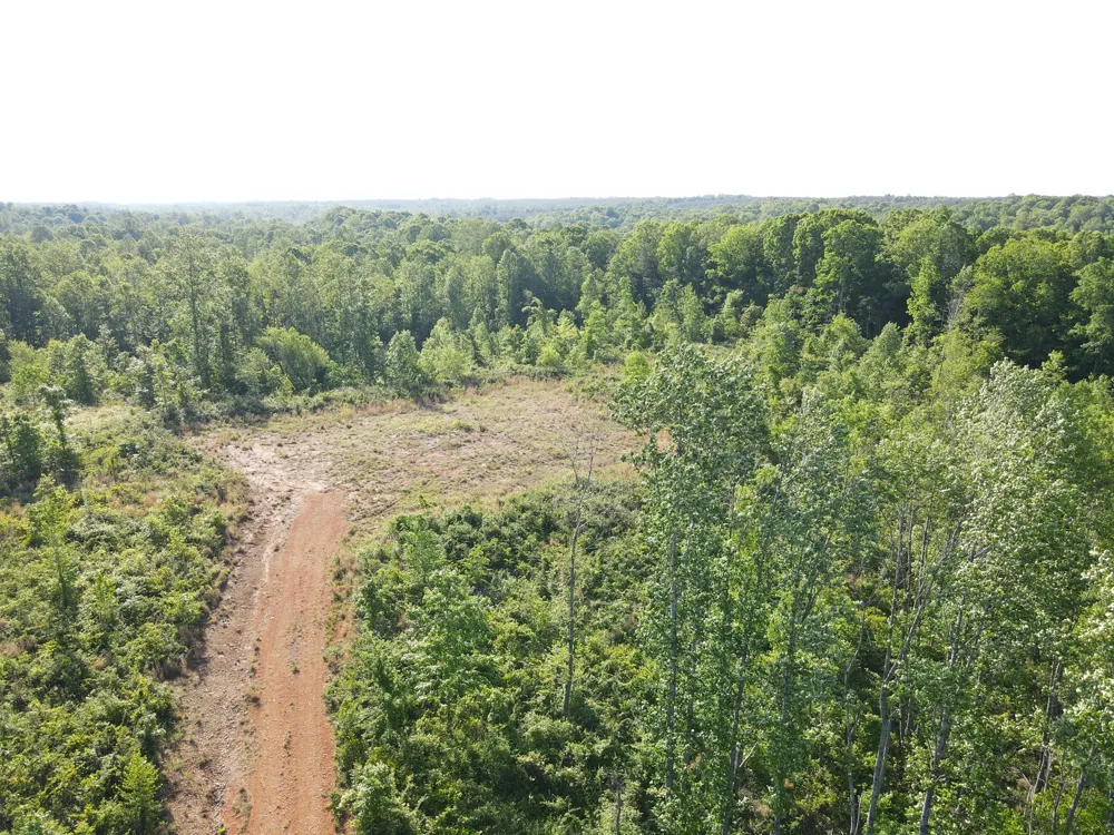 303 Hurricane Creek Stewart, TN 37175