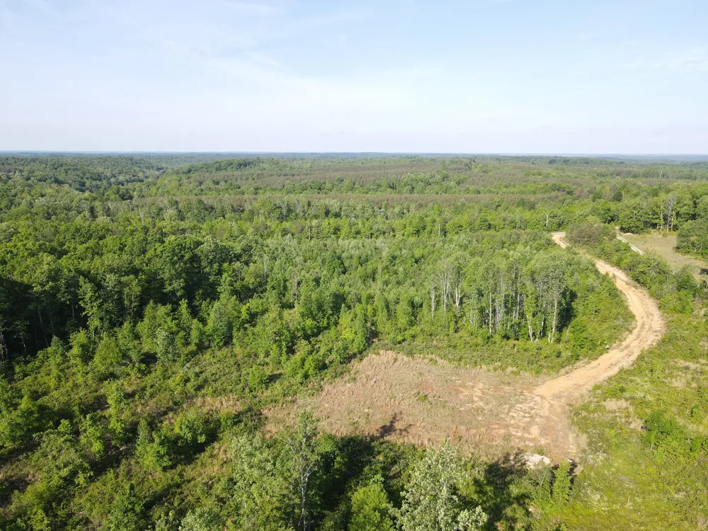 303 Hurricane Creek Stewart, TN 37175