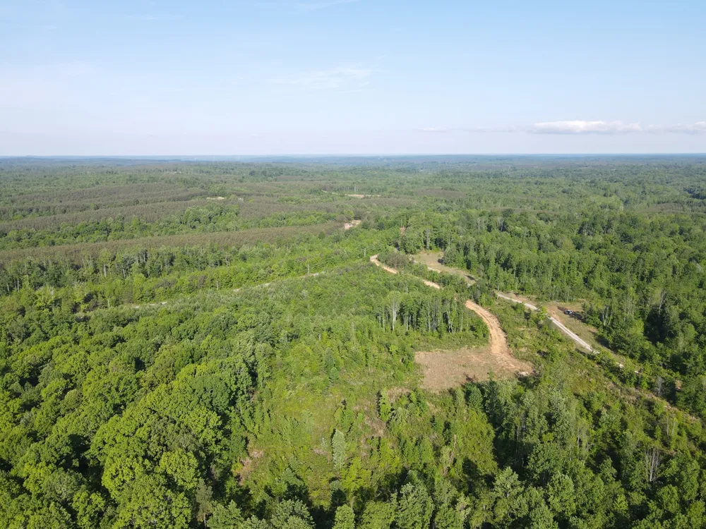 303 Hurricane Creek Stewart, TN 37175