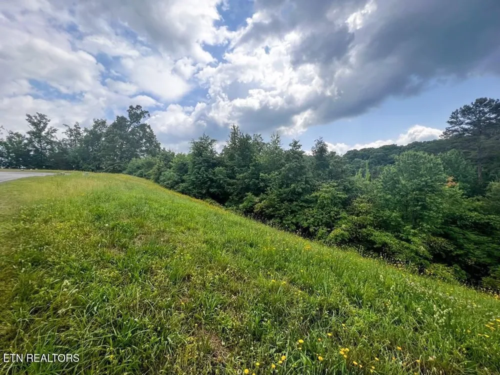 6213 Outlook Tr Russellville, TN 37860