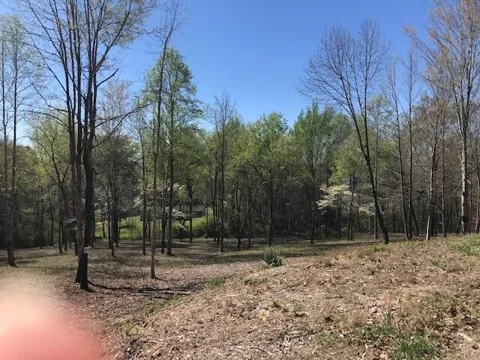 18 Piney View