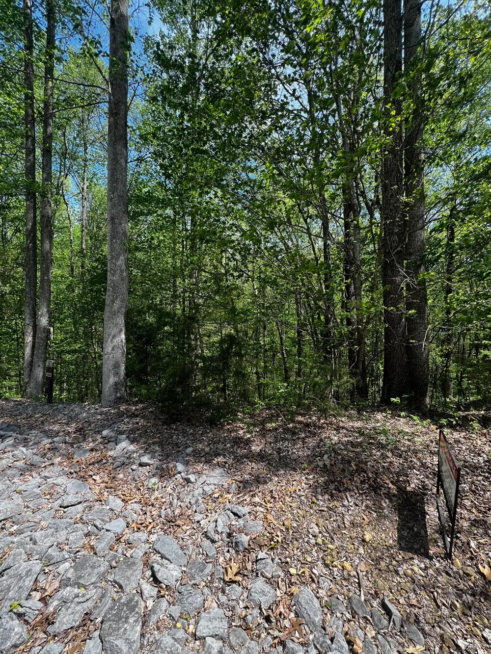 0 Lola Dr Smithville, TN 37166