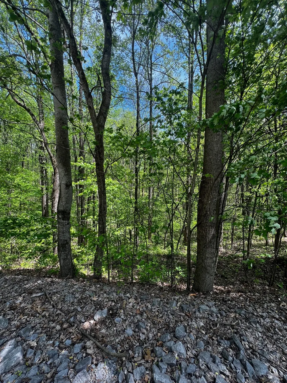 0 Lola Dr Smithville, TN 37166