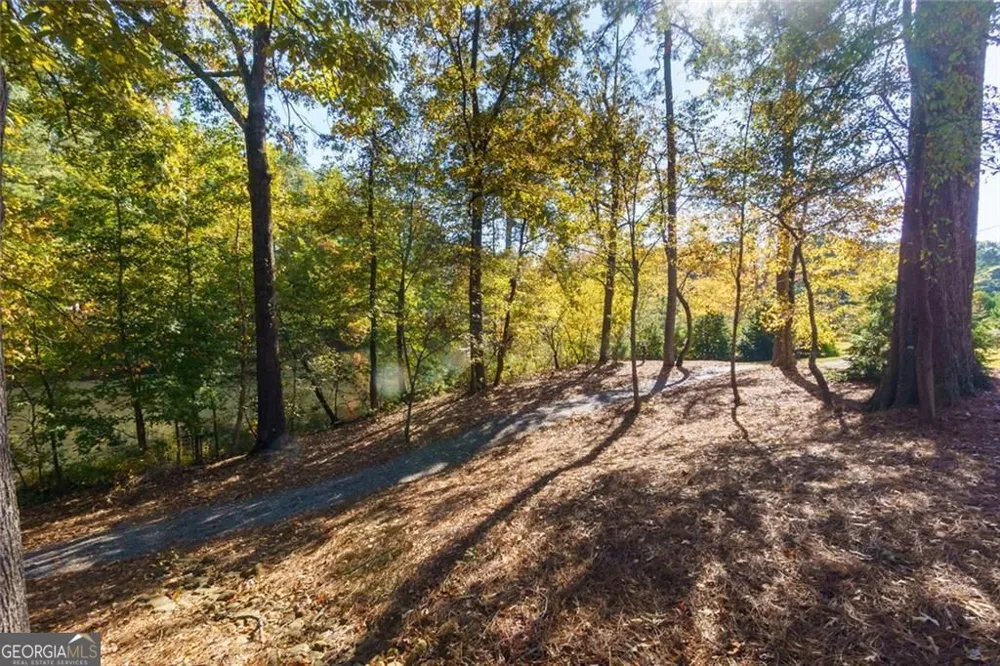 1002 Towneship WAY Roswell, GA 30075