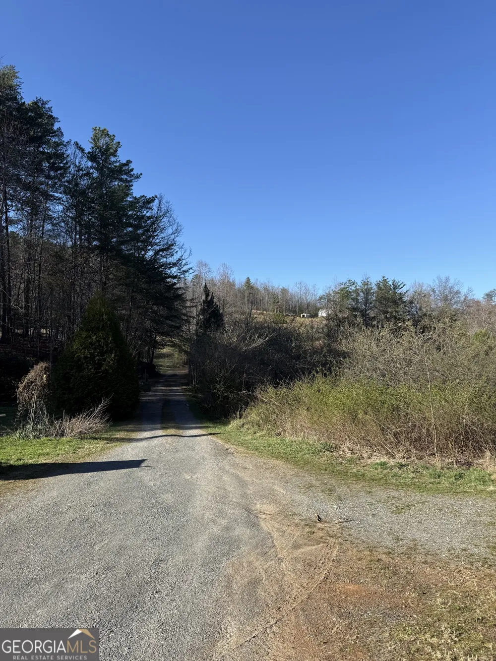 0 Blue Arrow LN Mineral Bluff, GA 30559