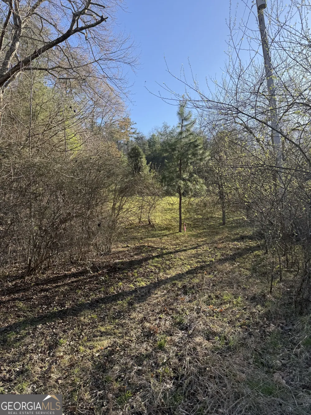0 Blue Arrow LN Mineral Bluff, GA 30559