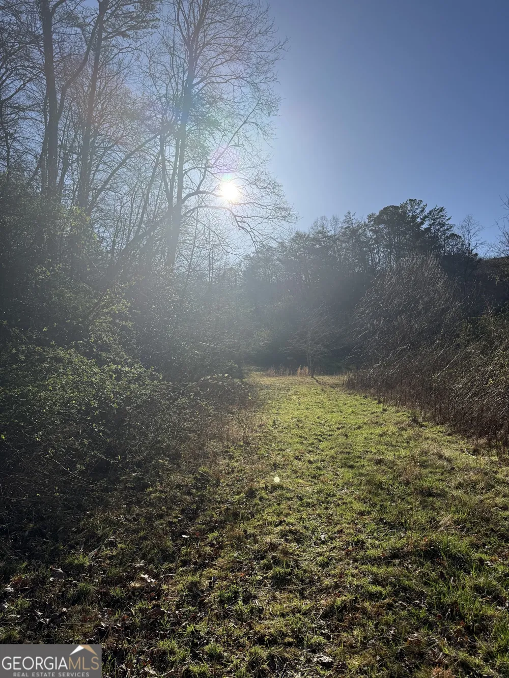 0 Blue Arrow LN Mineral Bluff, GA 30559