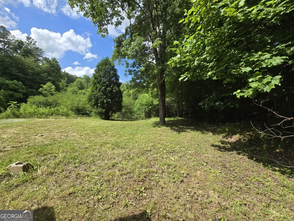0 Blue Arrow LN Mineral Bluff, GA 30559