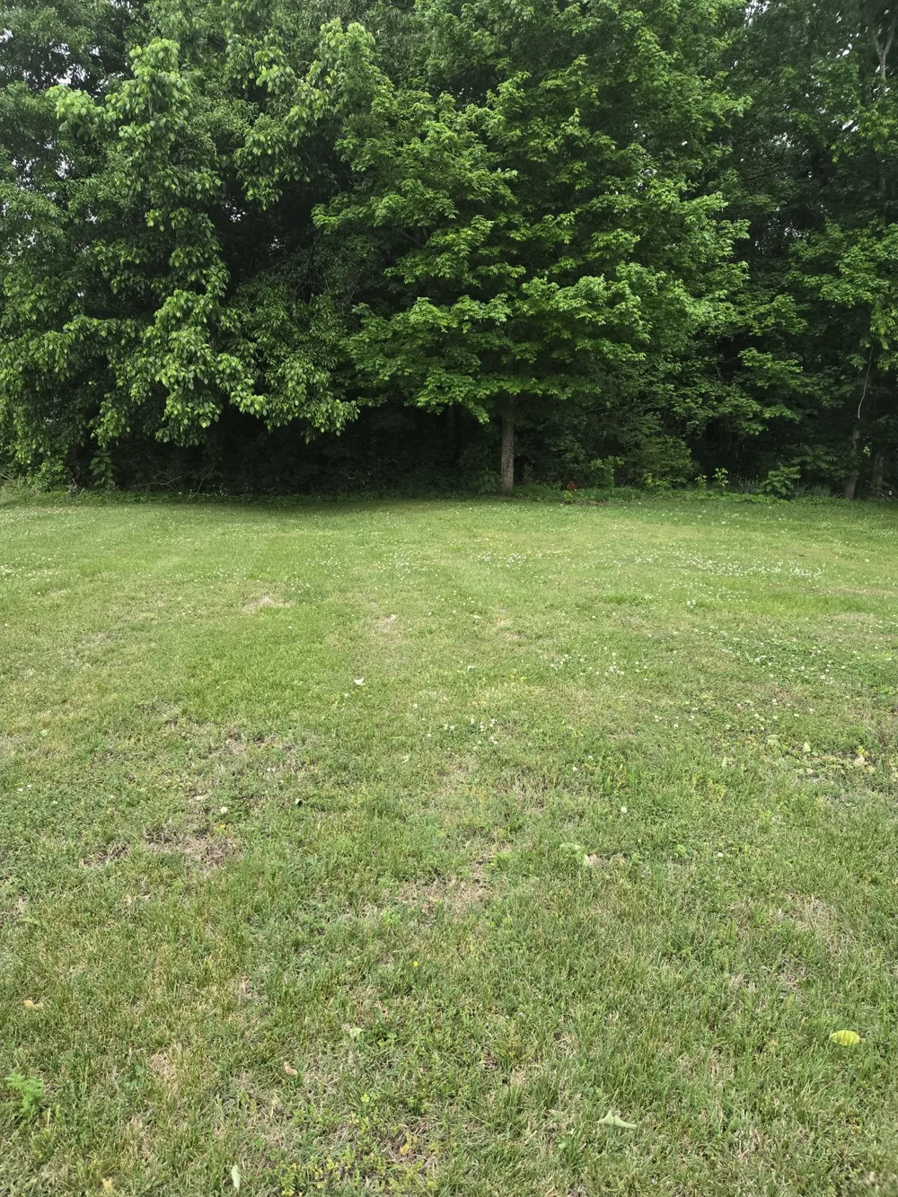 995 Railroad St Burns, TN 37029