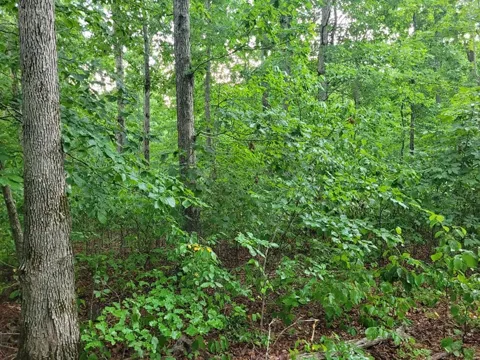 2 Haley Rd