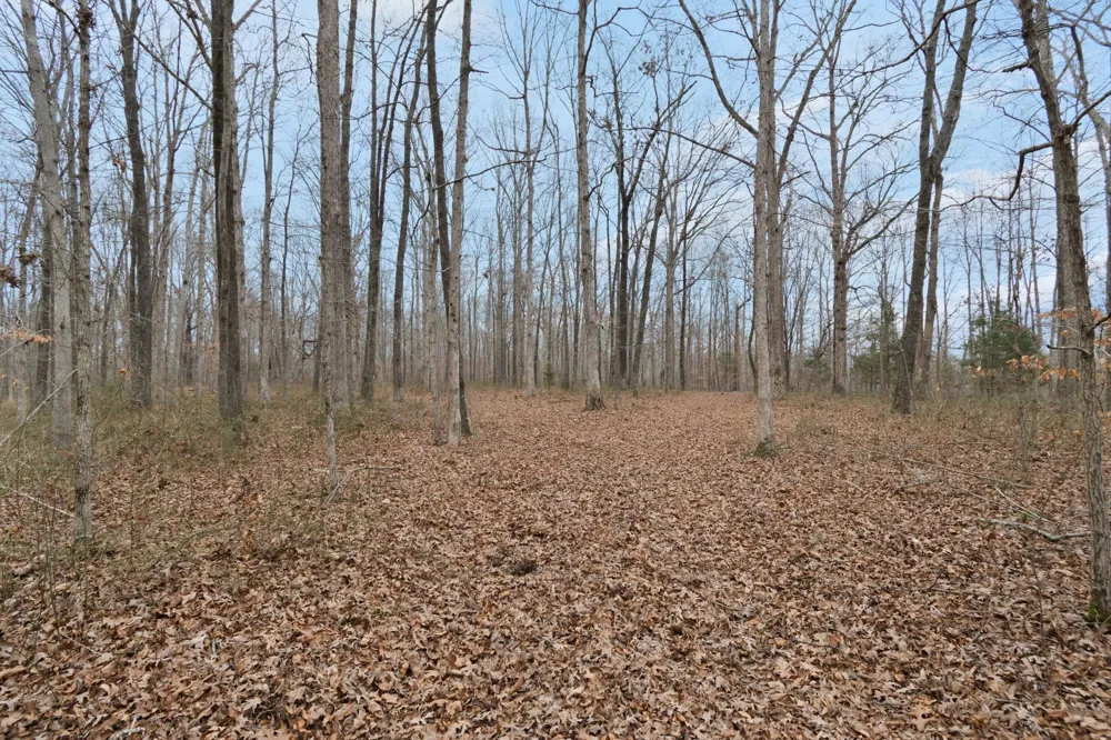 6000 Garrison Springs Rd Franklin, TN 37064