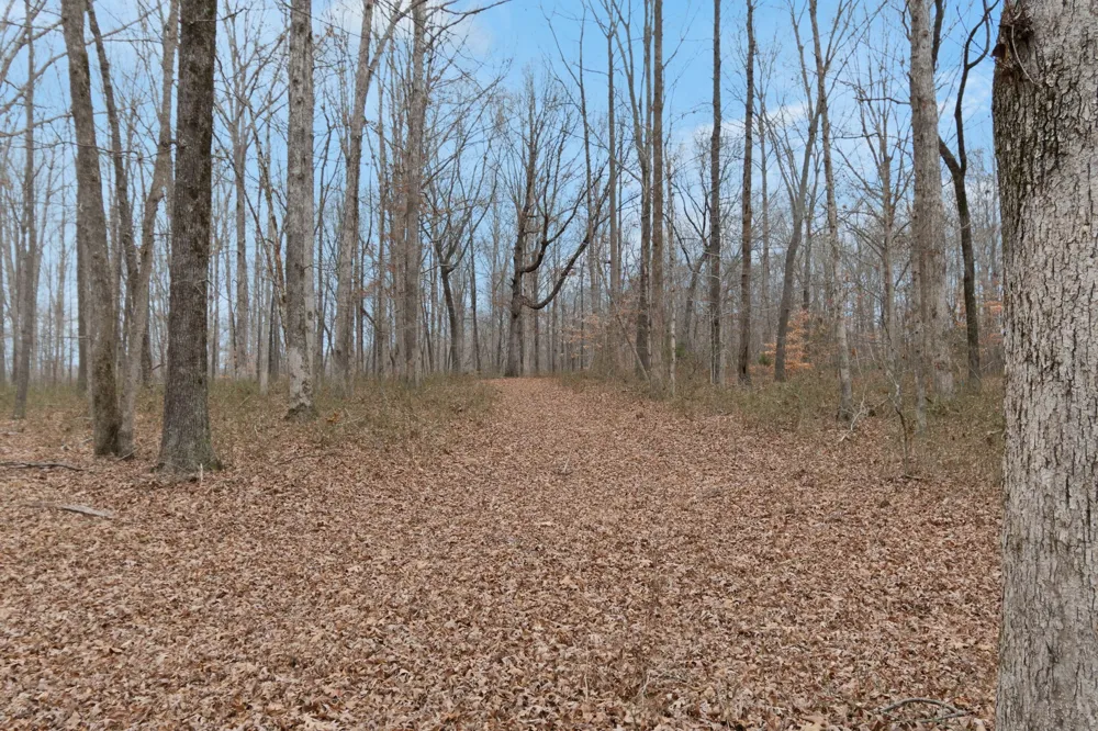 6000 Garrison Springs Rd Franklin, TN 37064