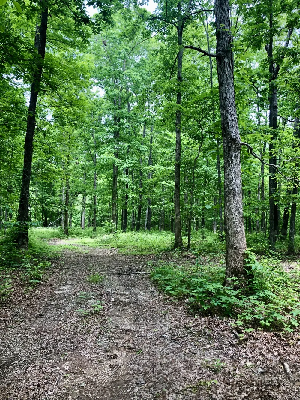 6000 Garrison Springs Rd Franklin, TN 37064