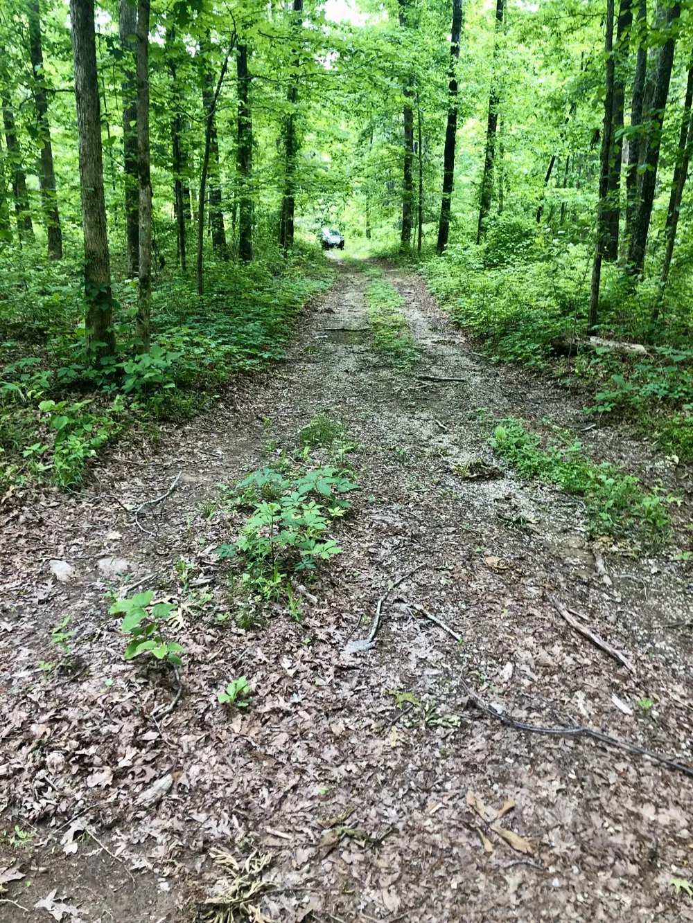 6000 Garrison Springs Rd Franklin, TN 37064