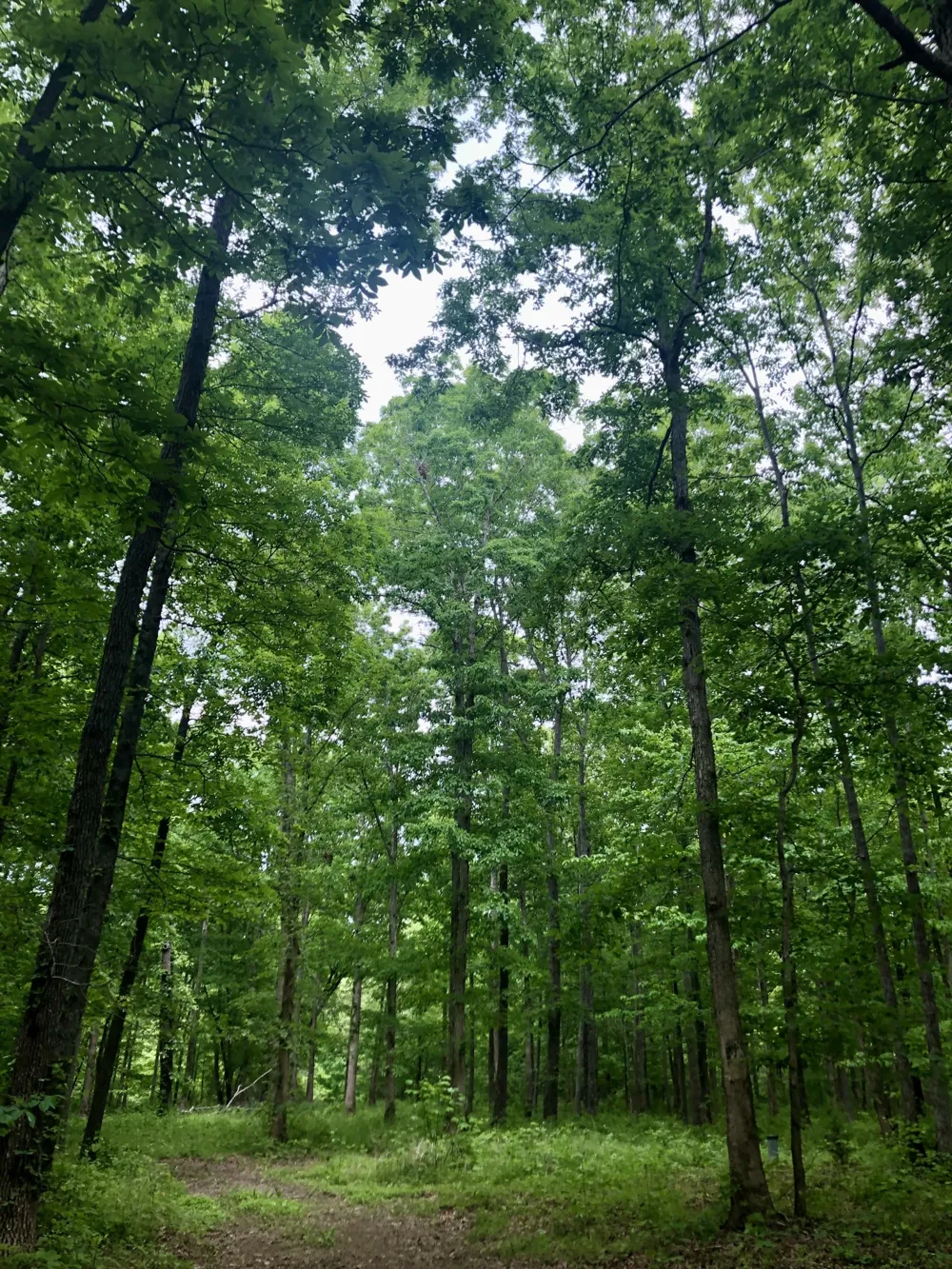6000 Garrison Springs Rd Franklin, TN 37064
